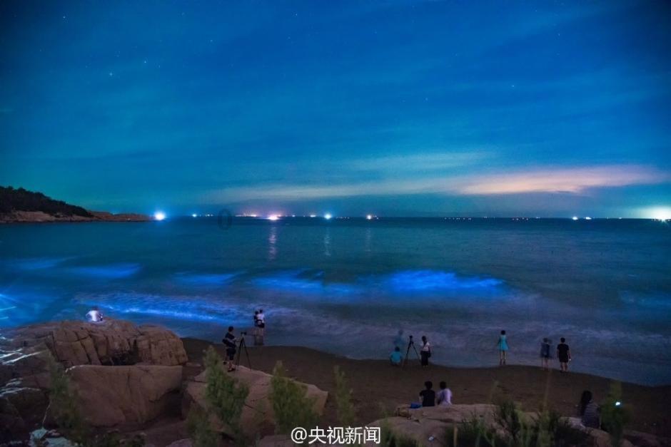 法务师怎么考证书?考证干货分享