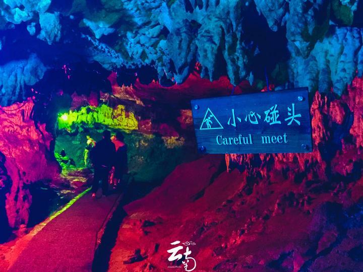 高校回应老鼠在食品架子上乱跑！具体是如何回应的？游戏画面
