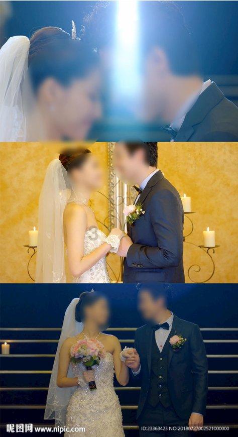 救援小孔雀