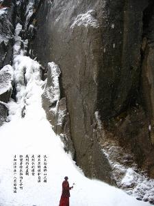 主人在医院死亡,忠犬每天守在医院门口,已经守了四个月仍在继续